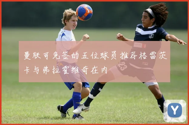 曼联可免签的五位球员推荐格雷茨卡与弗拉霍维奇在内